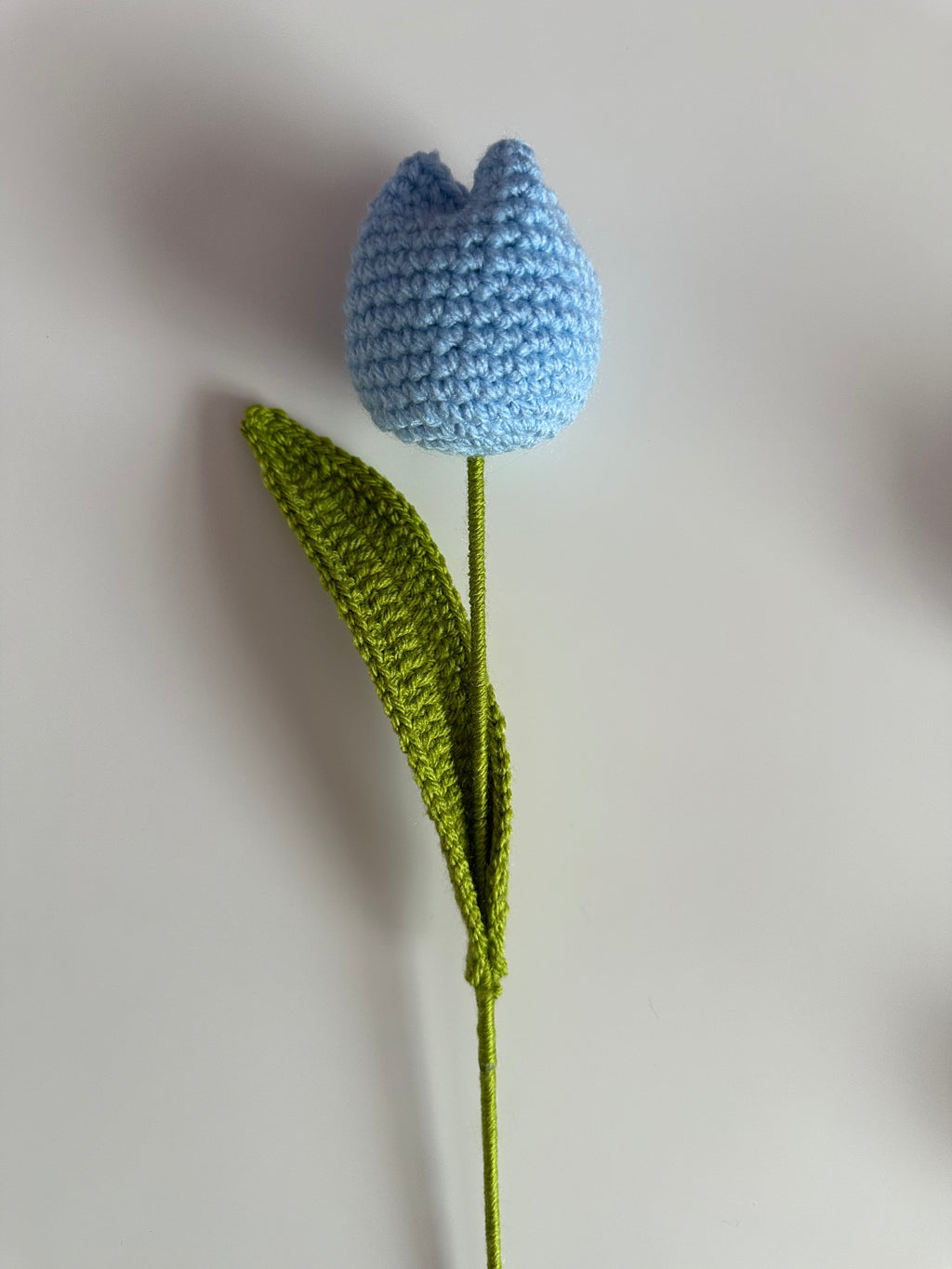 Mix & Match Tulip Bouquet