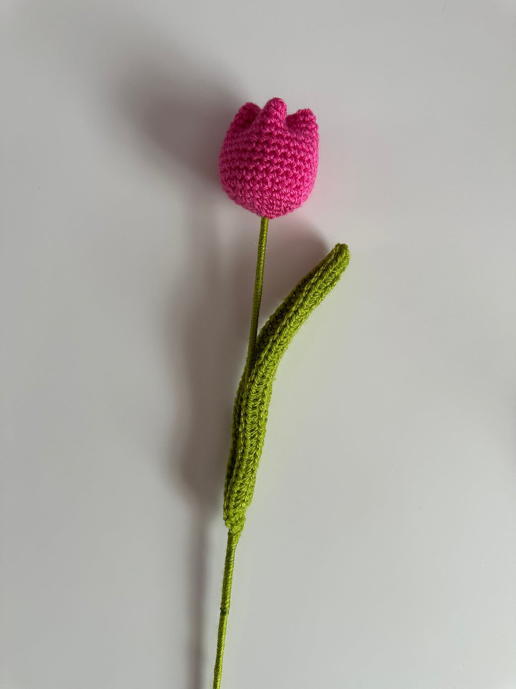 Mix & Match Tulip Bouquet