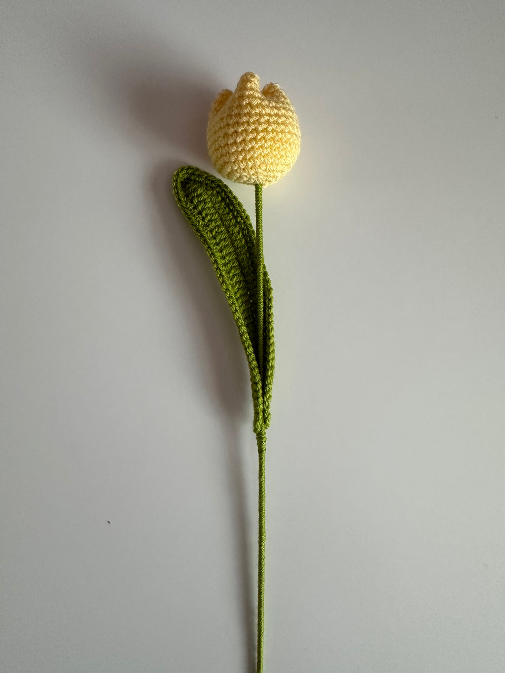 Mix & Match Tulip Bouquet