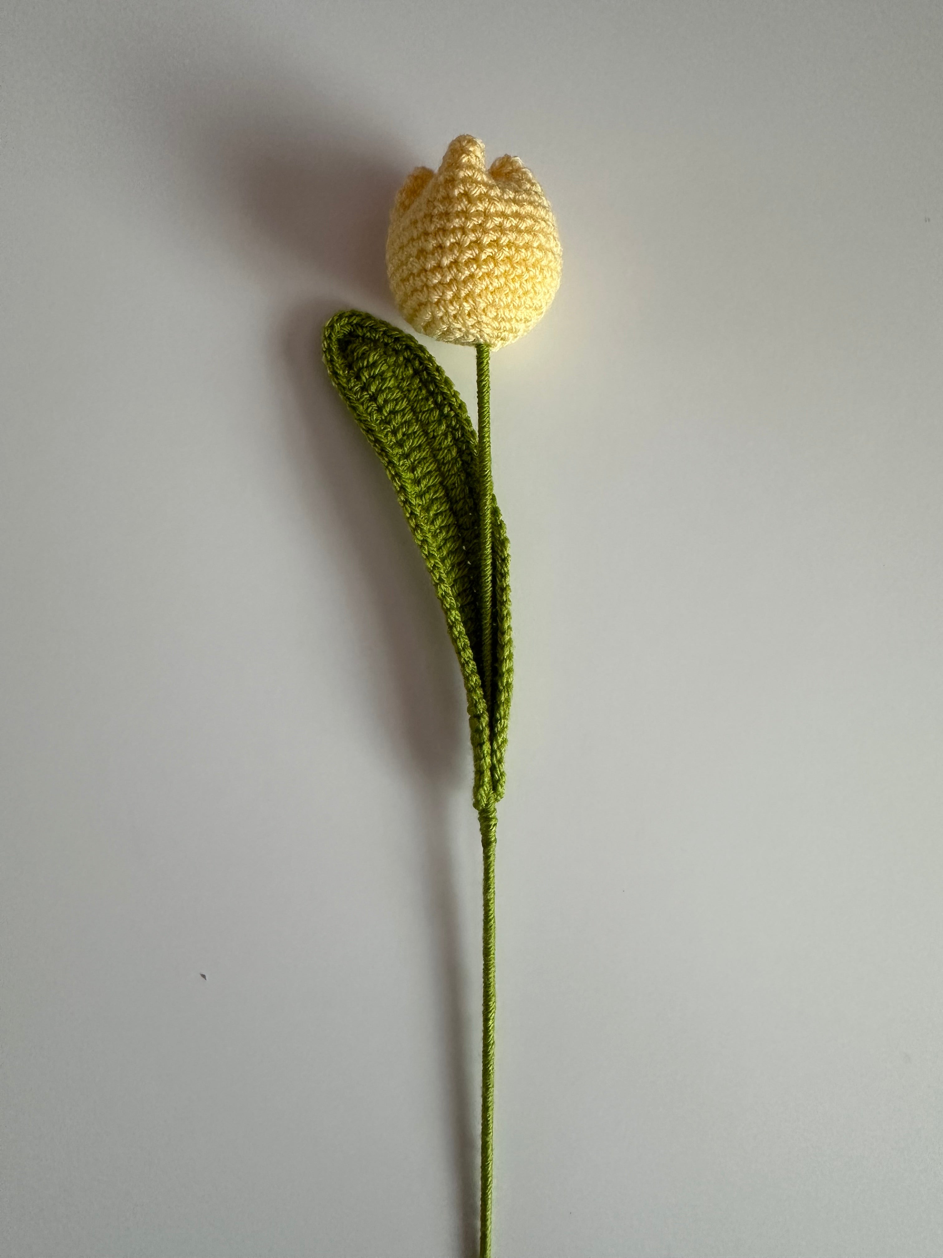 Mix & Match Tulip Bouquet