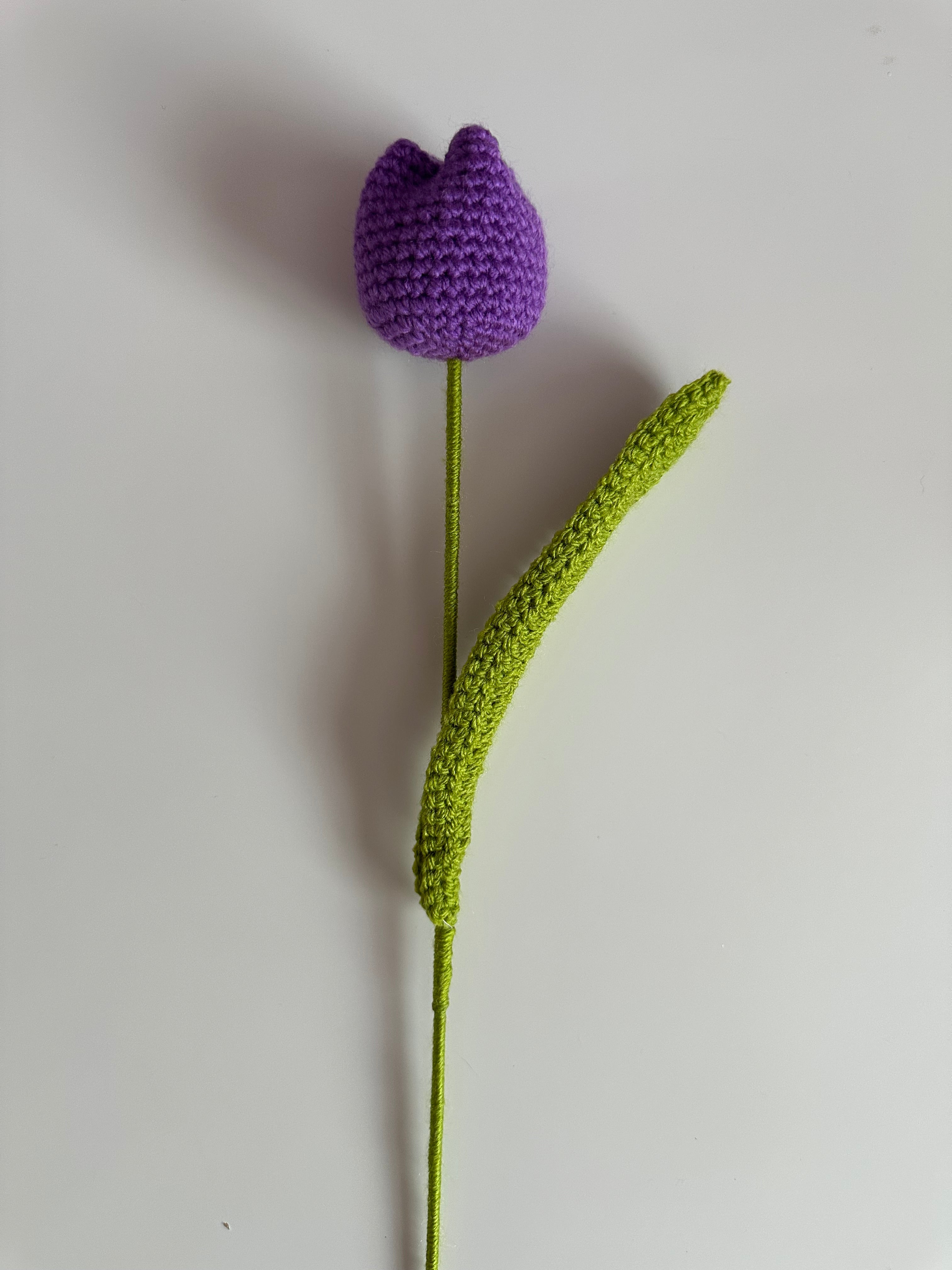 Mix & Match Tulip Bouquet