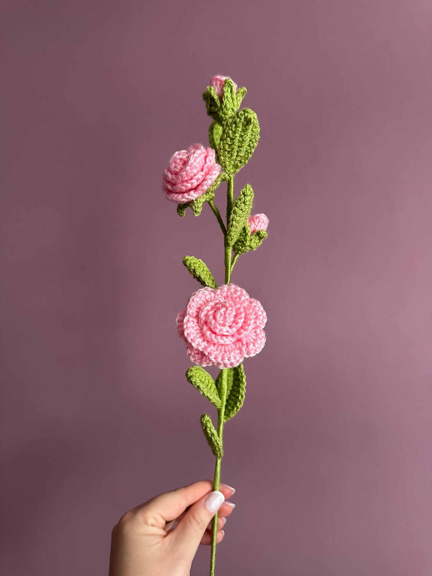 Camellia
