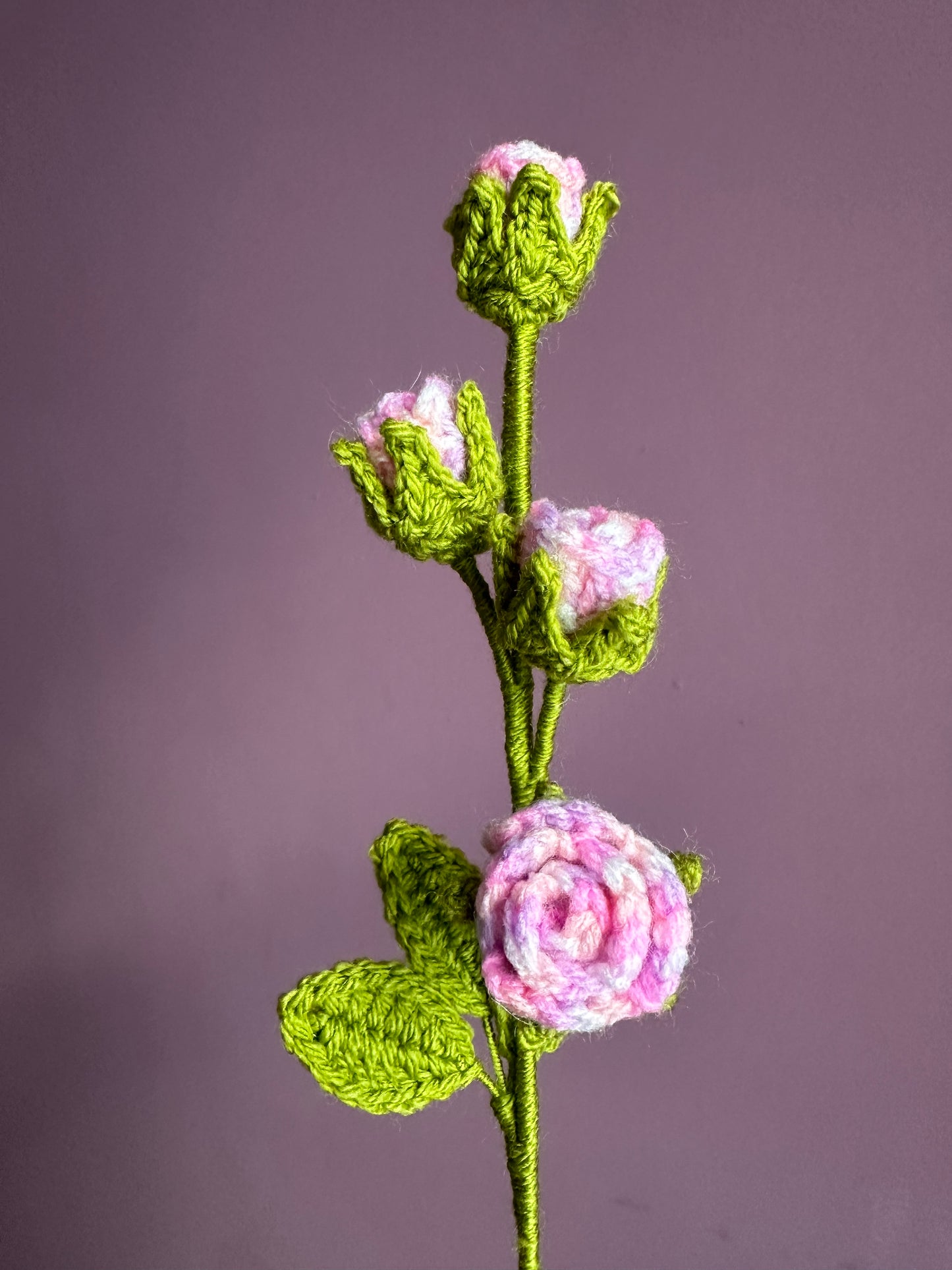 Small Roses