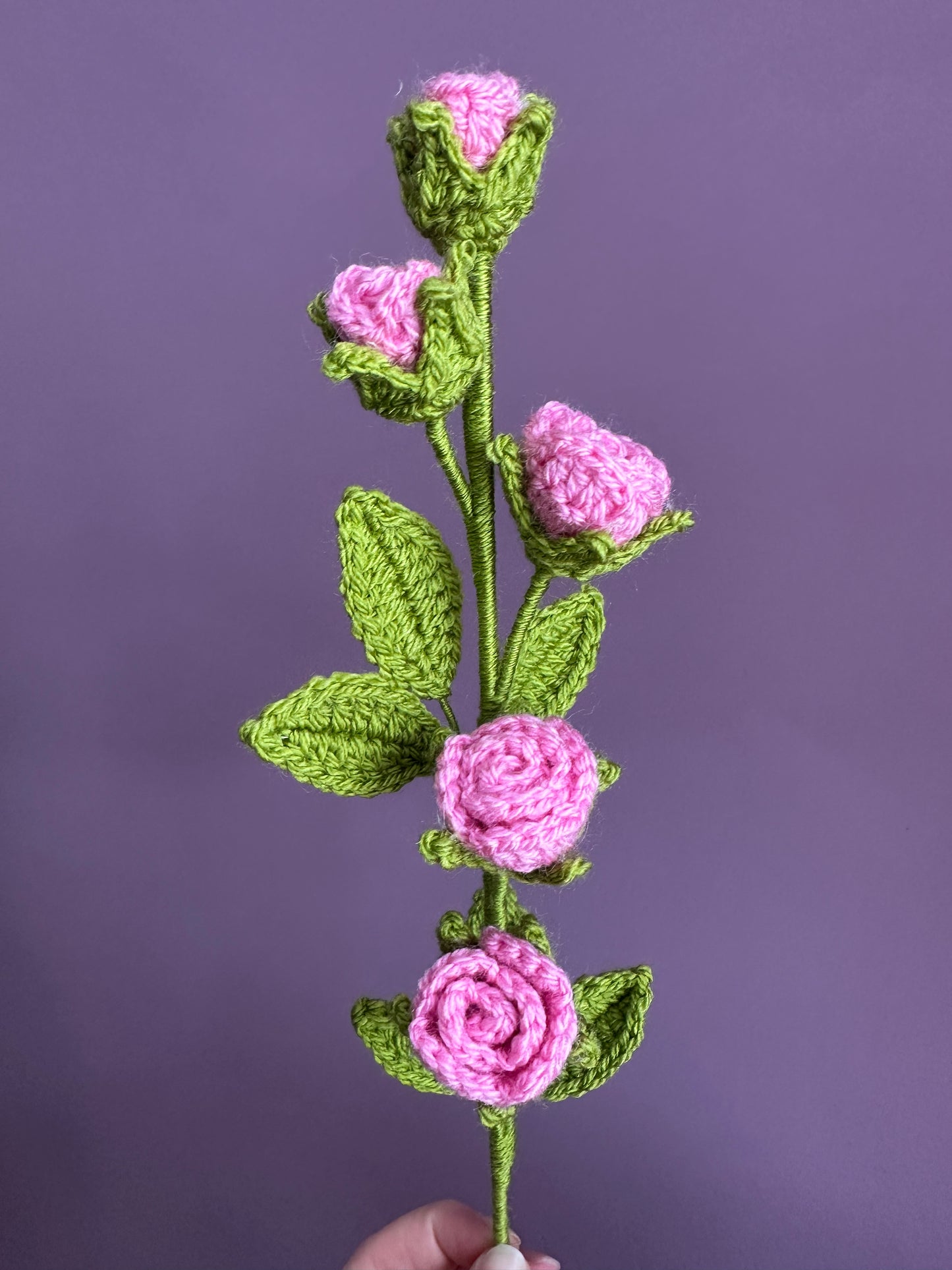 Small Roses