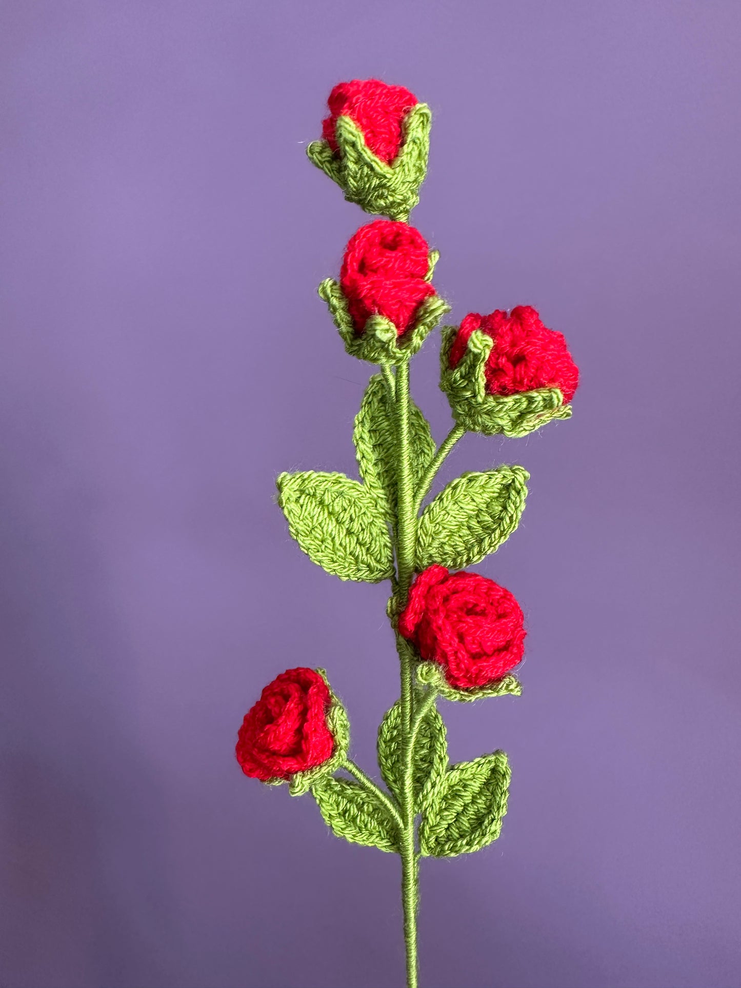 Small Roses