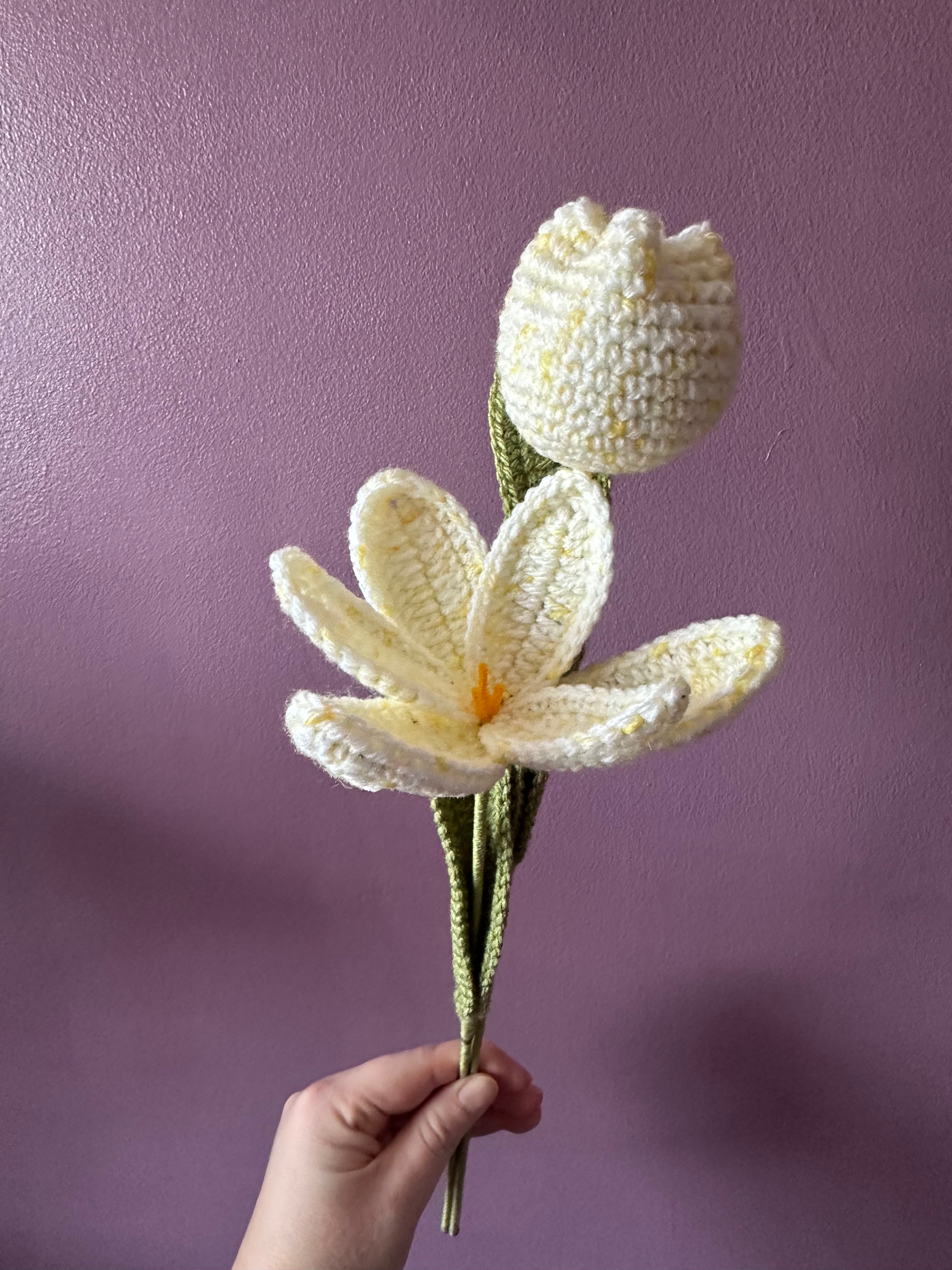 Mix & Match Tulip Bouquet